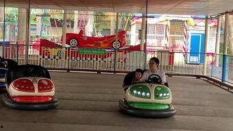 国产碰碰,创新碰撞，打造国内亲子娱乐新风尚